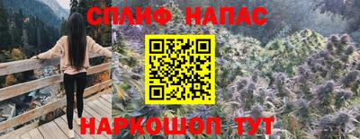 дживик Ставрополь