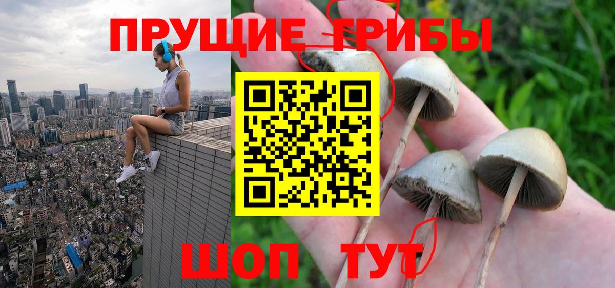 Галлюциногенные грибы MAGIC MUSHROOMS  Вход с VPN  Малгобек 